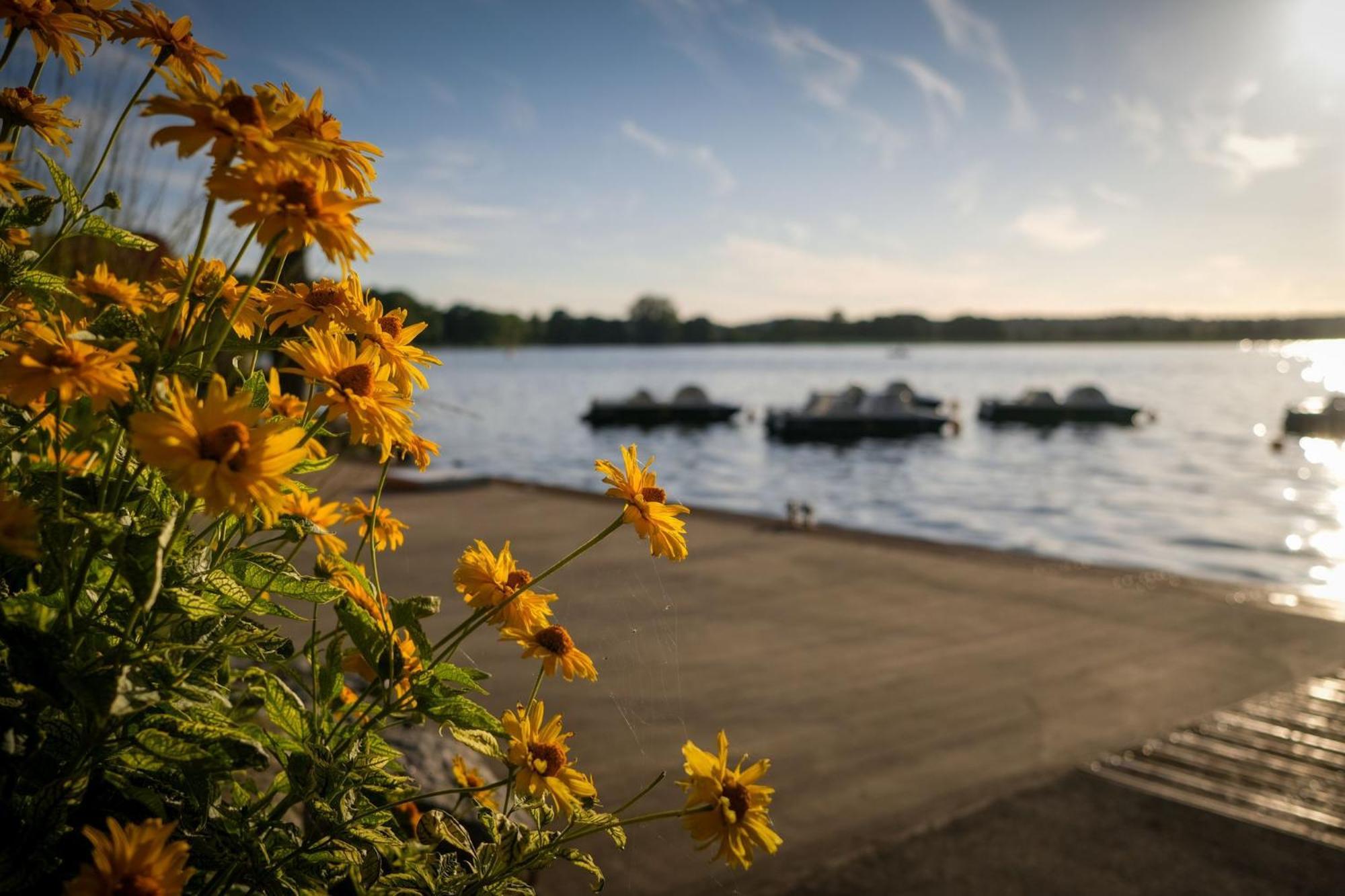 Osada Swory W Lesie Nad Jeziorem Holiday home