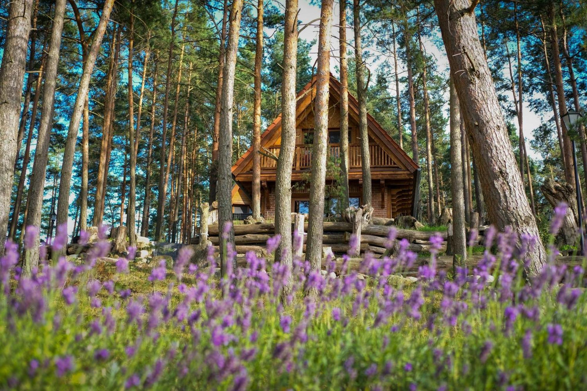 Osada Swory W Lesie Nad Jeziorem Holiday home